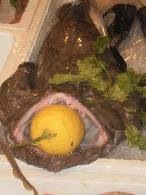 rana pescatrice